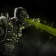 Illustration for article titled What's Up With Mortal Kombat X On PS3 And 360?